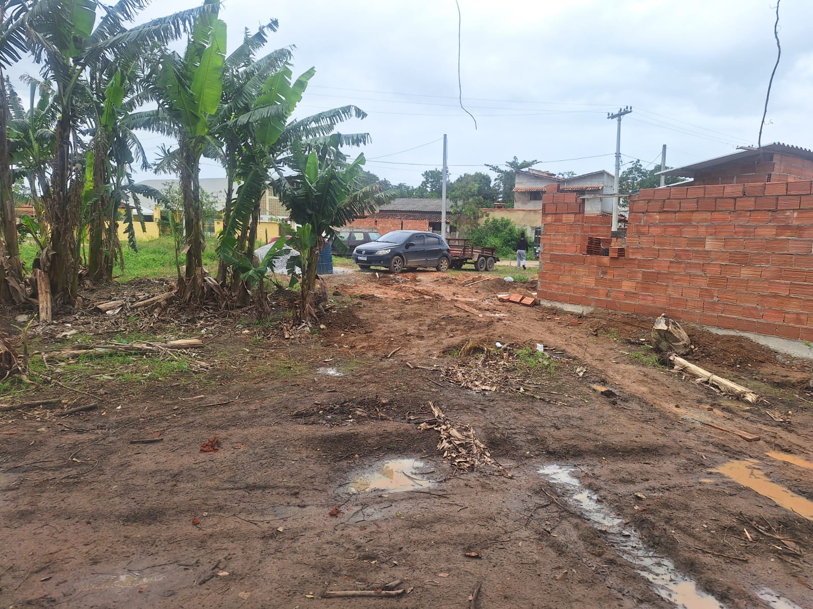 Crime contra a flora é flagrado pela polícia ambiental em Araruama, após denúncia ao programa Linha Verde 